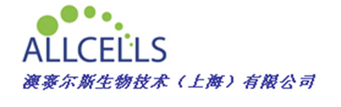 澳賽爾斯